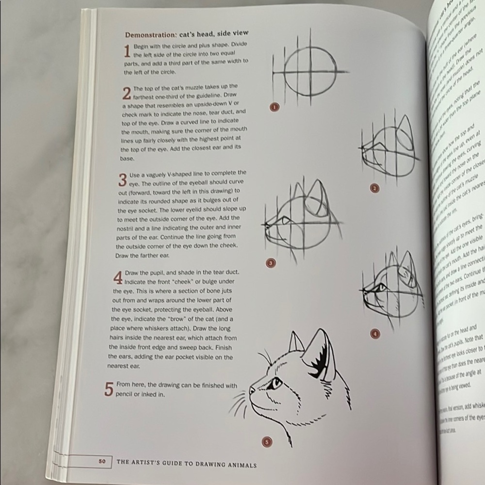 The Artist's Guide to Drawing Animals by J. C. Amberlyn - Picture 10 of 16